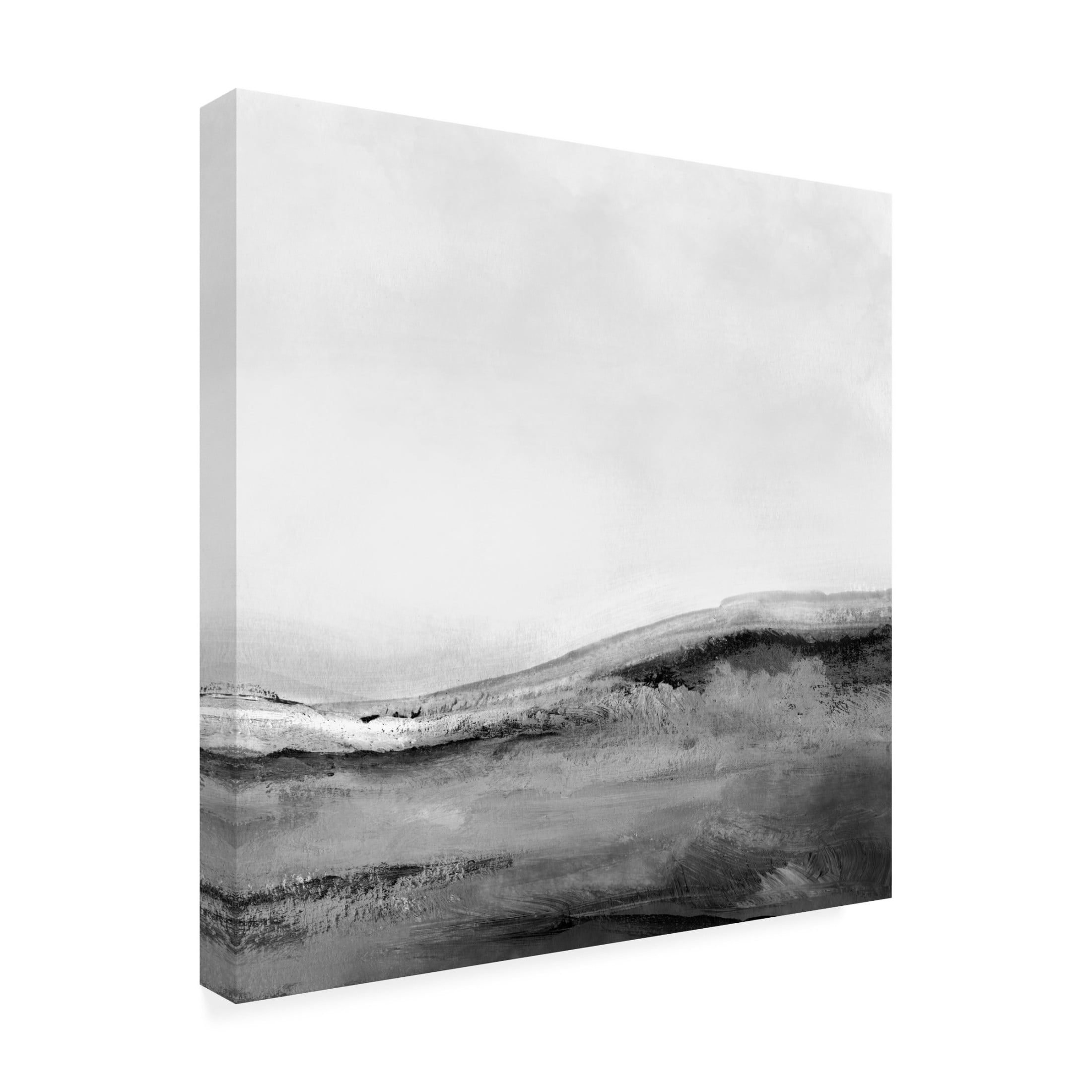 Trademark Fine Art Dan Hobday Mono Landscape No2 Canvas Wall Art
