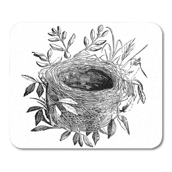 JSDART Nest of Sedge Warbler Bird Vintage Sourced from Antique Book The Playtime Naturalist by Dr J E Taylor Mousepad Mouse Pad Mouse Mat 9x10 inch