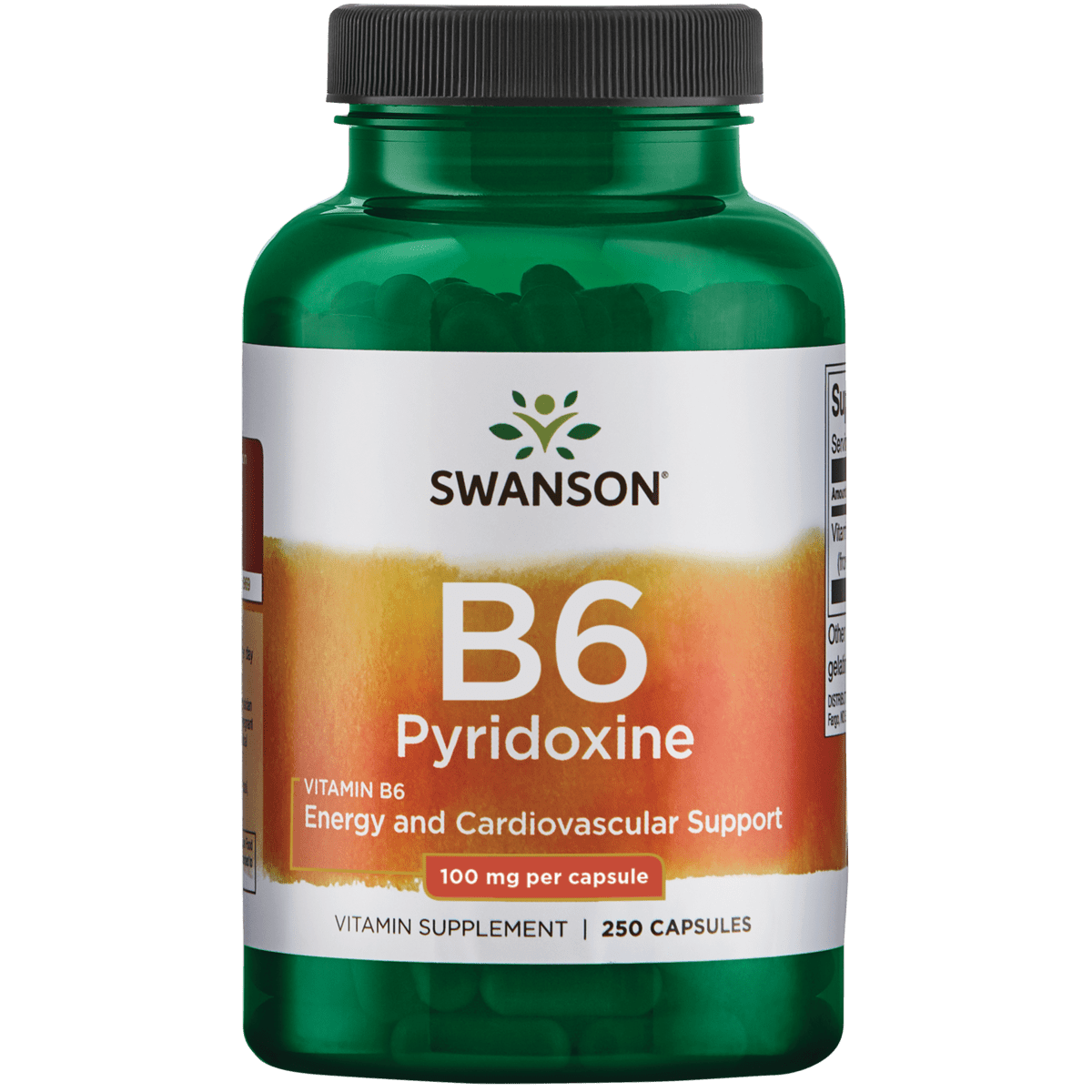 Swanson Vitamin B6 Pyridoxine 100 mg 250 Capsules