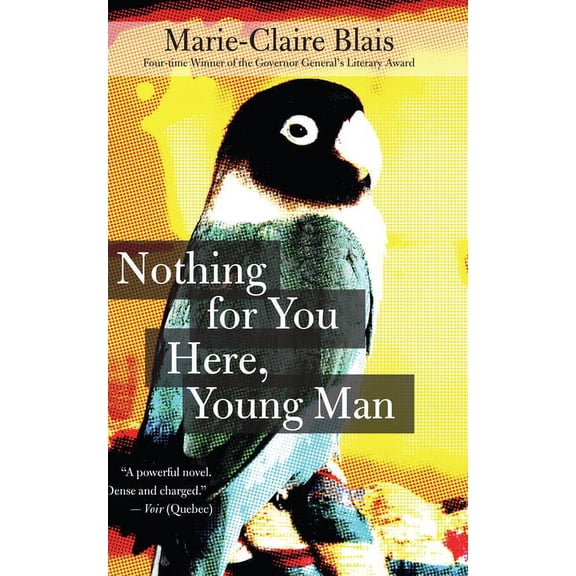 Soifs Cycle Nothing for You Here, Young Man, Book 6, (Paperback)