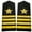 A, variant on Star Shoulder Epaulettes Stripes Security Uniform Accessories Captain Professional Security Guard Epaulets Captain