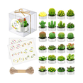 thumbnail image 2 of 24pcs Velas Cactus Aromaticas Suculento Decorativas Malubero Blanco, 2 of 4