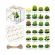 thumbnail image 2 of 24pcs Velas Cactus Aromaticas Suculento Decorativas Malubero Blanco, 2 of 4