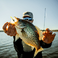 thumbnail image 5 of 6th Sense – Spangle Tinsel Jig Crappie Fishing Lure, Flash Tinsel Design, 5 of 7