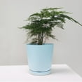 thumbnail image 2 of Huanglei Small Flower Pot Thickened Plastic Small Pot With Tray Garden Breathable Pot, 2 of 4