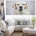 thumbnail image 1 of Sad Looking Beautiful Dog - Animal Canvas Art Print, 1 of 3
