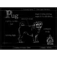 thumbnail image 2 of Ethan Harper 24x19 White Modern Wood Framed Museum Art Print Titled - Blueprint Pug, 2 of 4