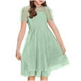 thumbnail image 4 of Vestido Largo Casual Vestido Casual de Polka de Moda para Niños con Falda de la Princesa de Manga Corta de Malla Y Falda de Gasa de Malla Vestido de la Princesa Del Bebé, 4 of 6