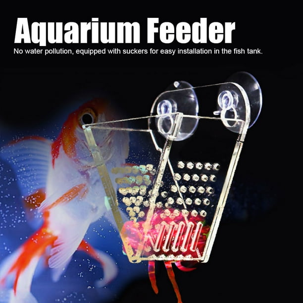 Brine shrimp cheap feeder