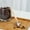 4#, variant on Specollect Clearance 2Pcs Stainless Steel Wooden Handle Coffee Scoop Spoon Long Handle Measuring Spoons for Ground Coffee, Loose Tea and Powder