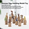 thumbnail image 4 of Dinosaur Egg Hatching Model Toy, Simulation Dinosaur Toys Learn Natural Science With Base For Holidays For Kids, 4 of 8
