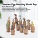 thumbnail image 4 of Juguetes De Dinosaurio De Simulación, Juguete Modelo De Eclosión De Huevos De Dinosaurio De Plástico 12 Piezas Con Base Para Niños Para Vacaciones, 4 of 7