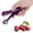 Purple, variant on RZDLIZJ Cherry and Olive Pitter Tool, Cherry Pitter Remover, Fruit Pit Core Remover with Space-Saving Lock Design for Make Fresh Cherry Dishes, Cherry Pie and Jam and Cocktail Cherries