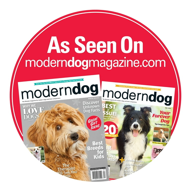 Boredom Busters  Modern Dog magazine