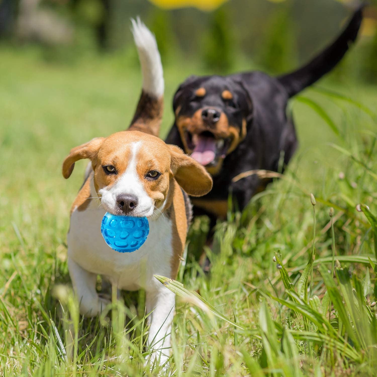 3'' Squeaky Dog Toy Balls for Lagre Medium Breed, Indestructible Dog Balls for Playing, Fetching & Retrieving, Durable Aggressive Chewers, 2 PCS Green+Purple