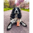 thumbnail image 3 of Soopa Carrot & Pumpkin Jumbo Stick Dog Treats 170g Case of 10, 3 of 9