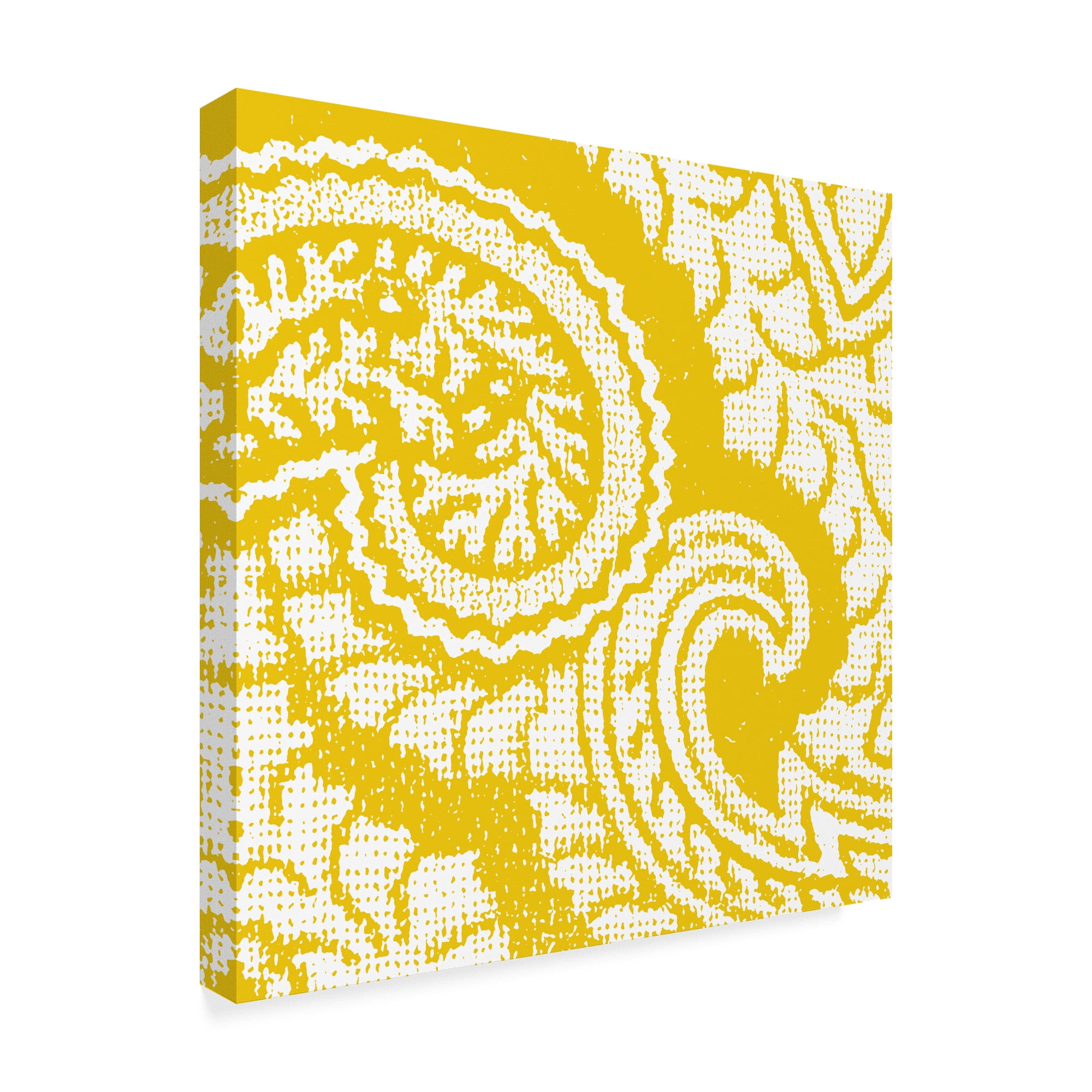 Trademark Fine Art 'Boho Bright IV' Canvas Art by Wild Apple Portfolio