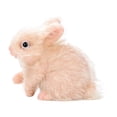 thumbnail image 3 of Muñeco de conejo renacido, muñeco de animal, juguete cómodo, figura de conejo, juguete de simulación sensorial, juguete de conejo de silicona para, 3 of 9