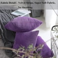 thumbnail image 2 of Juego de 2 fundas de almohada decorativas, funda de cojín de terciopelo de felpa de pana a rayas sólidas para sofá cama, berenjena, 50 cm (hy), 2 of 5