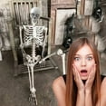 clearance-halloween-skeleton-life-size-full-body-posable-joints
