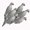 Gray, variant on 6PCS Dove Decoy with Clip – Realistic Lifelike Pigeon Hunting Decoy and Bird Deterrent for Garden, Patio, Crops, and Outdoor Use