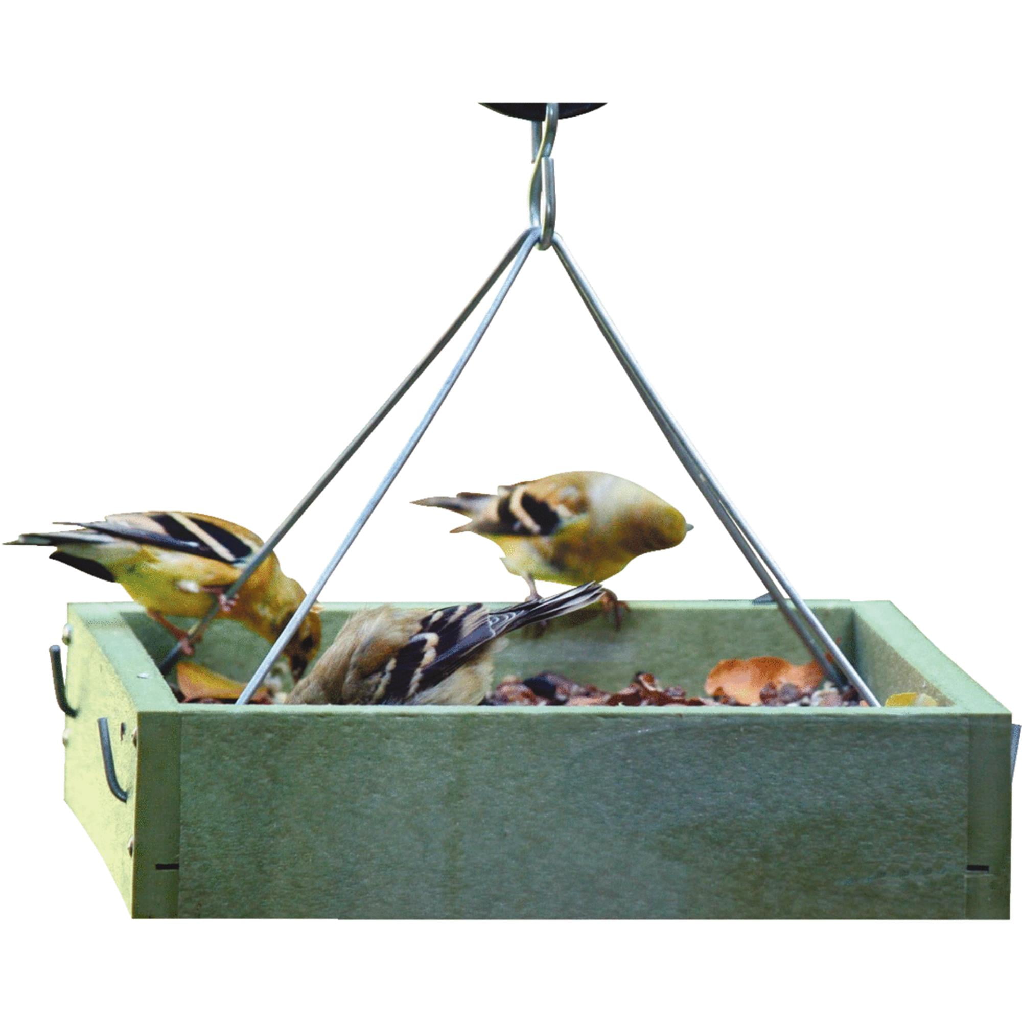 Bird's Choice Green Solutions Tray Birdfeeder by Birds Choice