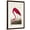 Brown Frame, variant on Art.com Pl 431 American Flamingo Art Print by John James Audubon, 12" x 18"