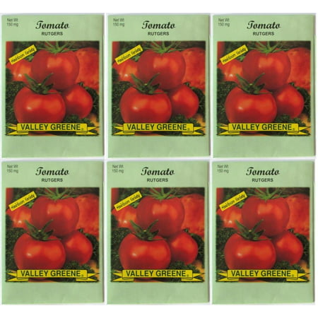 Valley Greene (6 Pack) Heirloom Variety Rutgers Tomato Seeds 150 mg/pack Non GE
