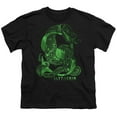 thumbnail image 2 of Harry Potter Slytherin S Logo Kids T Shirt (X-Large) for Youth Toddler Boys and Girls, Black, 2 of 5