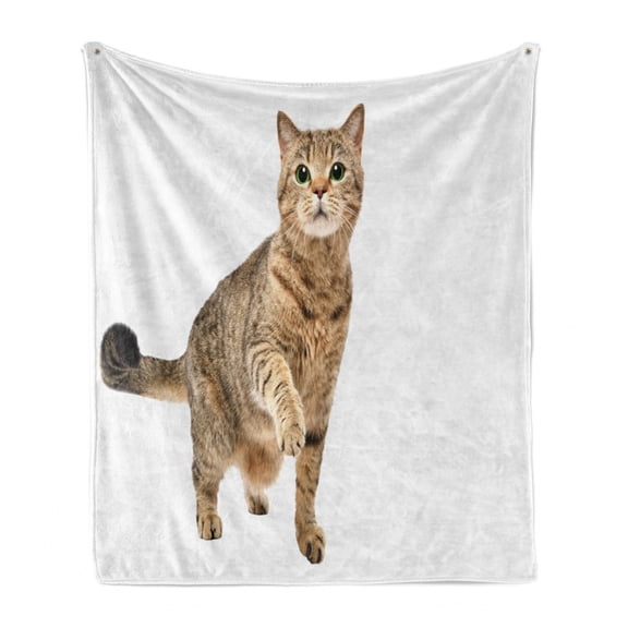 Kitty Soft Flannel Fleece Throw Blanket, Image of a Scottish Straight with a Raised Paw, Cozy Plush for Indoor and Outdoor Use, 50" x 70", Brown White, by Ambesonne