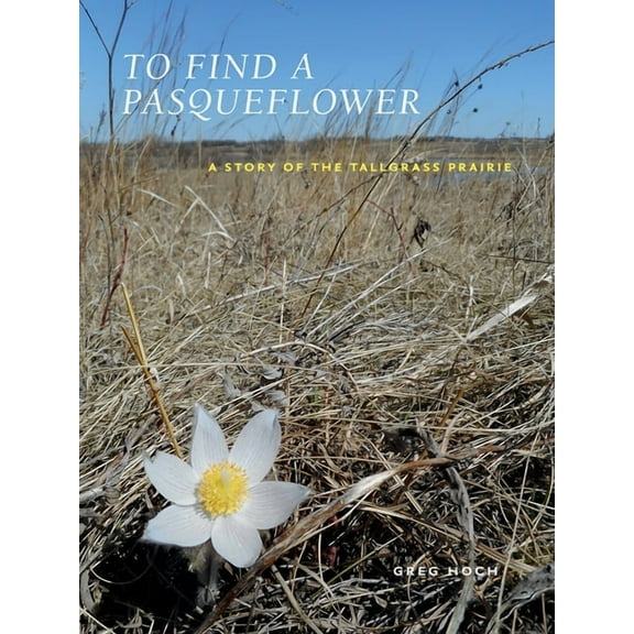Bur Oak Book: To Find a Pasqueflower : A Story of the Tallgrass Prairie (Paperback)