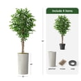 thumbnail image 3 of Artificial Tree in Modern Swirl Pattern Planter, Fake Ficus Silk Tree for Indoor and Outdoor Home Decoration - 75" Overall Tall (Plant Pot Plus Tree), 3 of 5