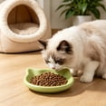 thumbnail image 5 of LEFXSMR Dinner Plates Cute Cat Shaped Plastic Plates with Non-Slip Base Microwave Safe Kitchen Utensils for Home Use, Green, 5 of 7