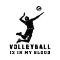 thumbnail image 2 of Sports Wall Decals for Boys Bedroom - Volleyball Back Row Attack Player DIY & Creativity Boy Girl Bedroom Wall Sticker - Size: 18 In x 20 In, 2 of 5