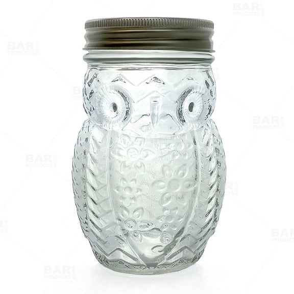 BarConic® Owl Mason Jar with Lid, 12 Ounce, 1 Count, New