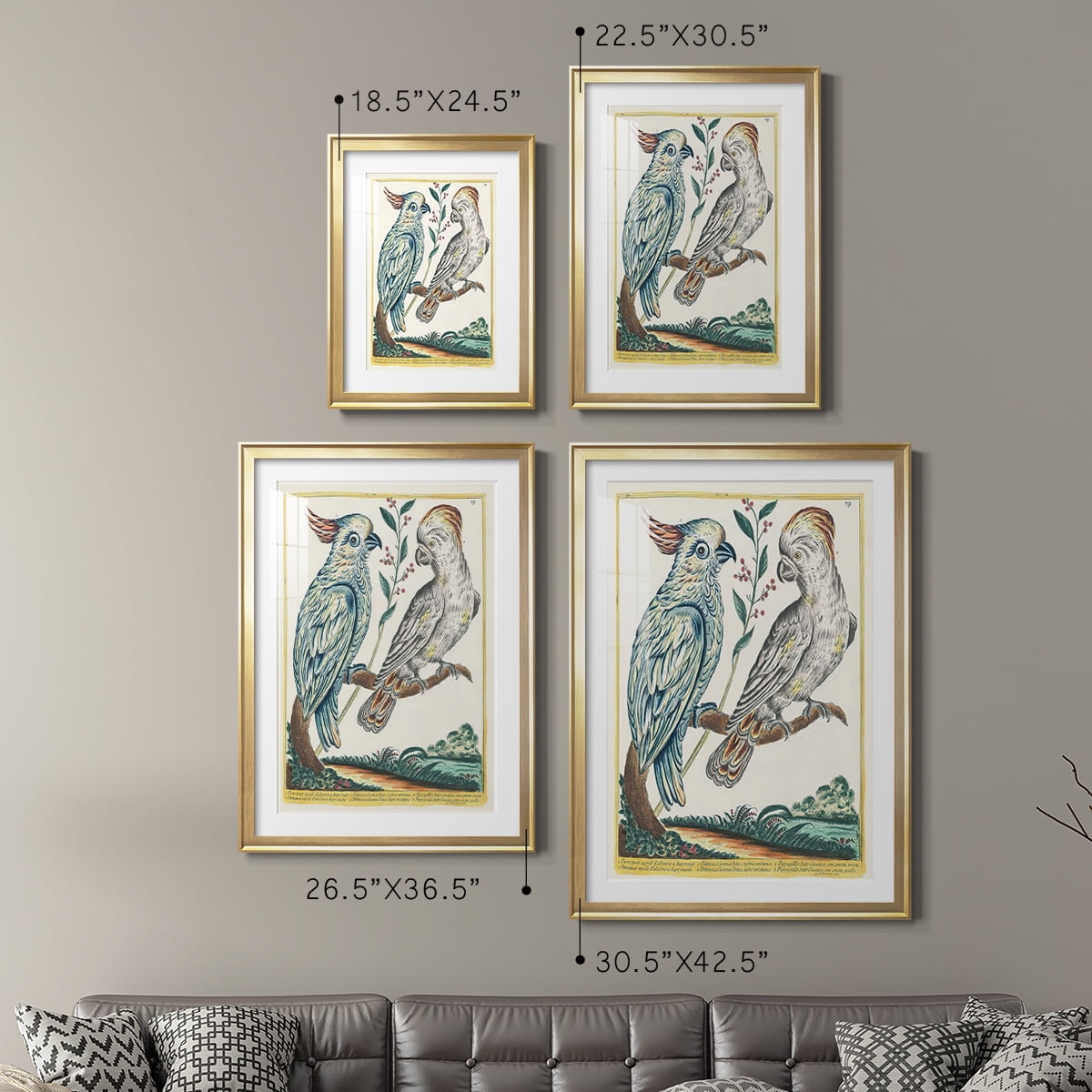 Wexford Home Pastel Birds I Premium Framed Print, 26.5" x 36.5" - Ready to Hang, Gold (Set of 2)