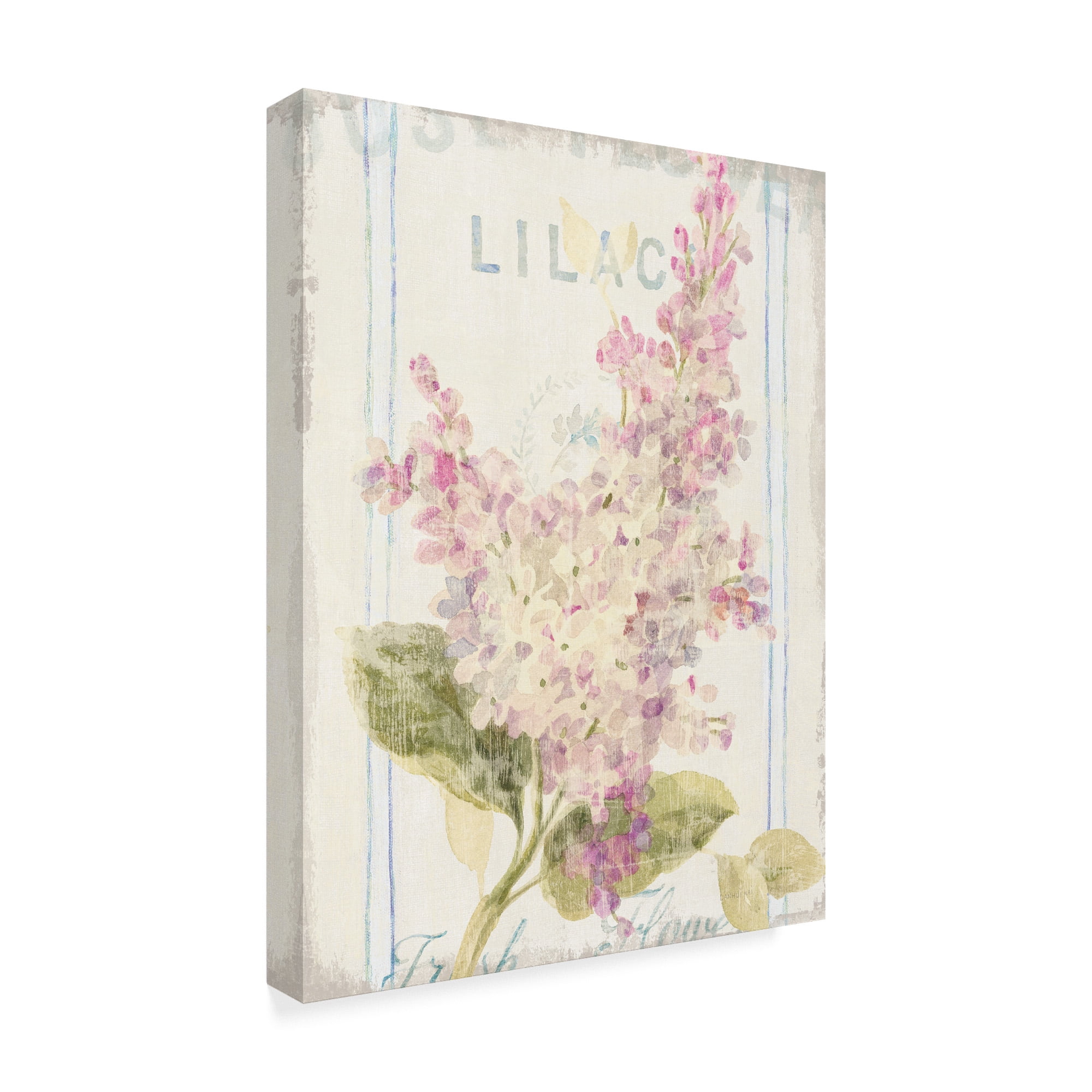 Trademark Fine Art 'Floursack Florals V' Canvas Art by Danhui Nai