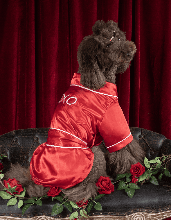 Vibrant Life Valentine's Day Pet Robe, XOXO, Red, XL
