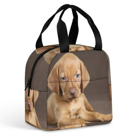 

Puppy Lunch Bag Woman 8x5x8.5inch Reusable Waterproof Insulated Lunch Box Portable Meal Tote Bag for Kids Adults Work School Travel Picnic