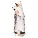 thumbnail image 1 of Balery Beautiful Butterfly Sudadera con Capucha para Perros Pequeños – Ropa para Mascotas, Disfraz para Perros y Gatos, Ideal para Fiestas y Cosplay-Medium, 1 of 7