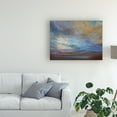 thumbnail image 3 of Trademark Fine Art 'Coastal Clouds I' Canvas Art by Sheila Finch, 3 of 3
