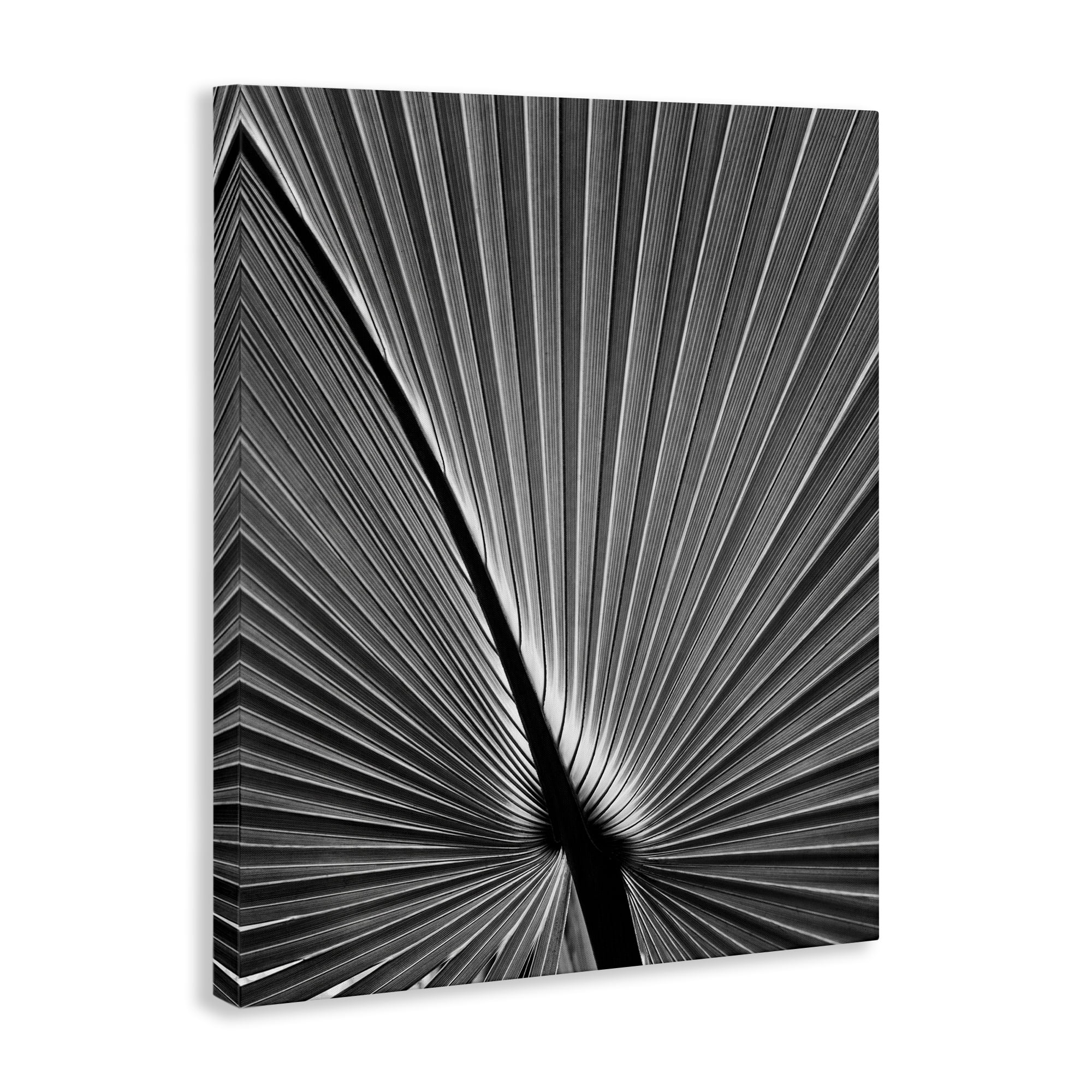 Stupell Industries Palm Frond Detail Botanical & Floral Photography Gallery Wrapped Canvas Art Print Wall Art, 30 x 40