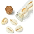 thumbnail image 6 of 6 Pcs Wishing Bottle Sea Shells Shell Wish Bottles Coastal Summer Beach Ornaments Nautical Glass Message Bottle Ocean Sand Jar Hanging Decorations with Seashell for Home Room 3x1 Inch colorful, 6 of 6