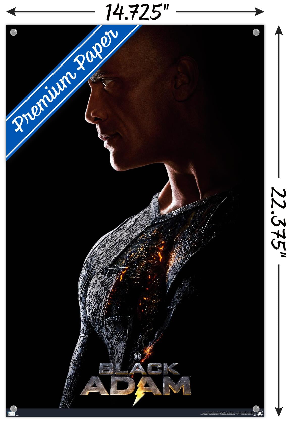 DC Comics Movie Black Adam - Profile One Sheet Wall Poster with Push Pins, 14.725" x 22.375"