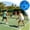 Blue, variant on 1 Pc Blue 26 Holes Pickleball Ball, 2.8 Inch Blue Polymer Pickle Balls, Aerodynamic Stable Ball for Indoor & Outdoor Court, Recreational Sports Training & Backyard Game