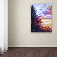 thumbnail image 4 of Trademark Fine Art "Crescendo" Canvas Art by Mandy Budan, 4 of 4
