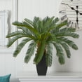 thumbnail image 3 of Nearly Natural 30" Plastic Cycas Artificial Plant, Green, 3 of 4
