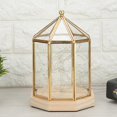 thumbnail image 3 of Geometric Shape Elegant Plants Glass Cover Succulent Plant Holder Home Garden Decoration, 3 of 4