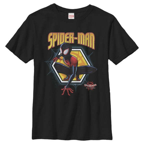 Boy's Marvel Spider-Man: Into the Spider-Verse Hexagon  Graphic Tee Black Medium