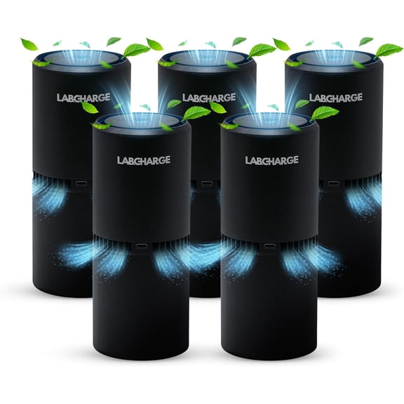 LabCharge Small Ionic Air Purifier for Home & Bedroom – Silent HEPA Filter – Covers 250 Sq Ft – For Pet Hair, Smoke, Dust, Odors & Dander – Compact Black Design – Pack of 5